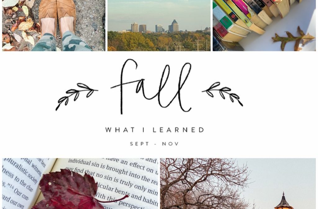 8 Things I Learned This Fall